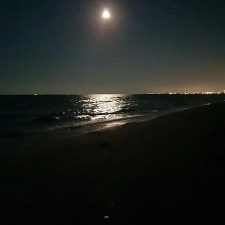 Garsoniera Mamaia Nord-navodari Appartamento